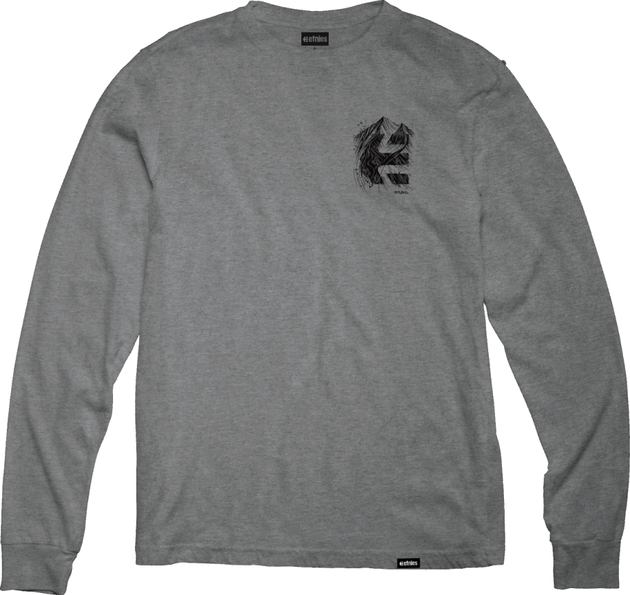 Etnies Grå/ljung Rp Dubbelpil L/s Tee